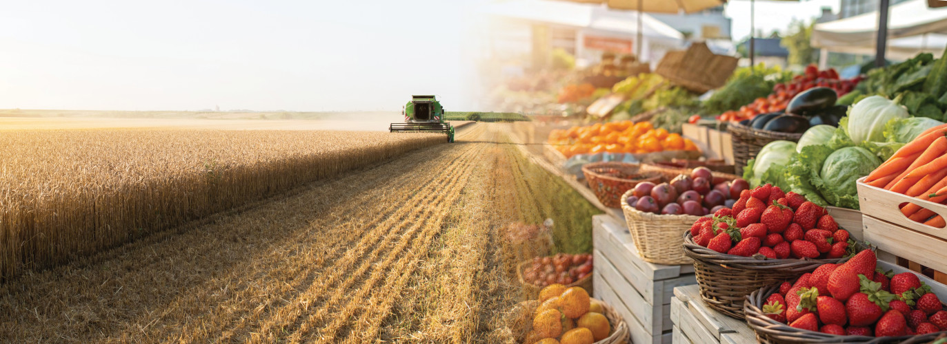 Two Paths, buy local, shop local, conventional farming