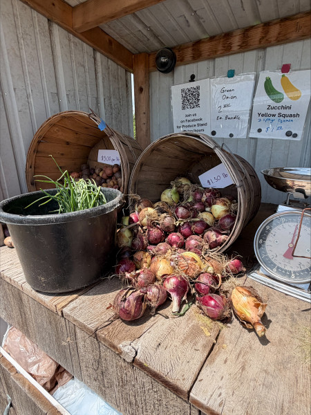 kansas grown onions