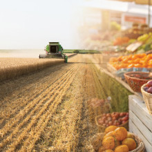 local, conventional farming, farming, ranching, Kansas