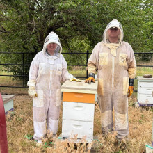 Bees, honey, shop local
