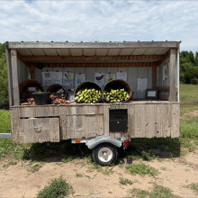 kansas grown vegetables in wichita