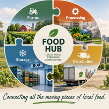 what is a food hub?