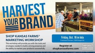 SKF marketing workshop