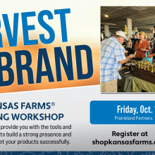 SKF marketing workshop
